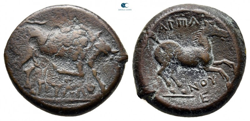 Apulia. Arpi circa 275-250 BC. 
Bronze Æ

20 mm., 5,08 g.



nearly very ...