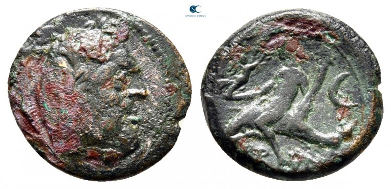 Calabria. Brundisium circa 215 BC. 
Bronze Æ

14 mm., 1,81 g.



nearly v...