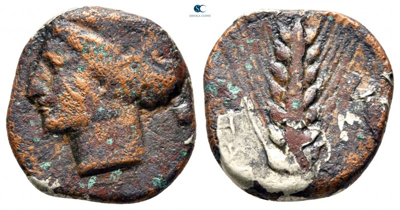 Lucania. Metapontion circa 370-340 BC. 
Fourrée Nomos

20 mm., 6,10 g.


...