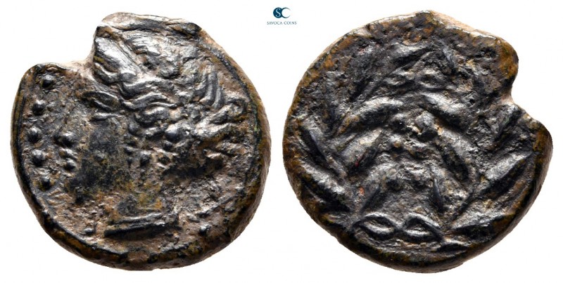 Sicily. Himera 415-409 BC. 
Hemilitron Æ

15 mm., 3,63 g.



very fine
