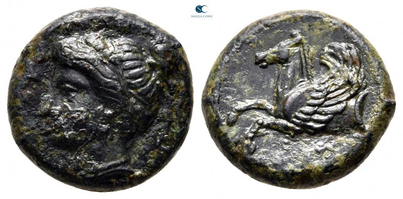 Sicily. Syracuse circa 344-317 BC. 
Hemilitron Æ

17 mm., 4,42 g.



very...