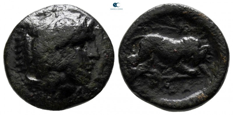 Kings of Macedon. Pella or Amphipolis. Kassander 306-297 BC. 
Bronze Æ

15 mm...