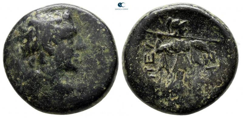 Macedon. Pella circa 158-149 BC. 
Bronze Æ

19 mm., 6,86 g.



nearly ver...