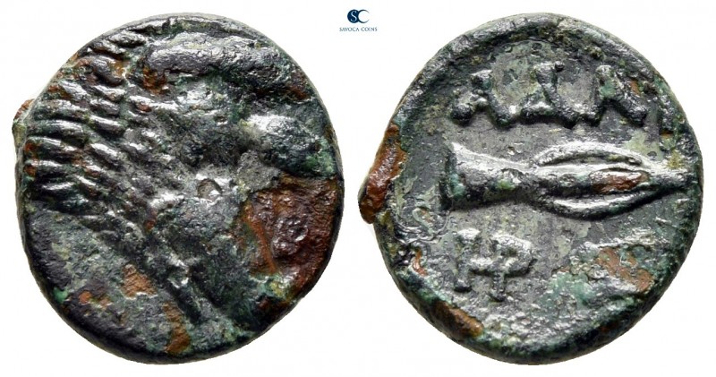 Kings of Thrace. Seleukid. Adaios circa 253-243 BC. 
Bronze Æ

13 mm., 1,95 g...