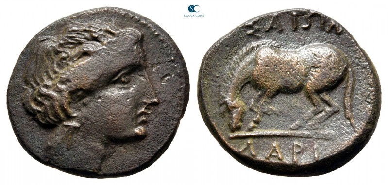 Thessaly. Larissa circa 380-337 BC. 
Bronze Æ

17 mm., 3,32 g.



very fi...