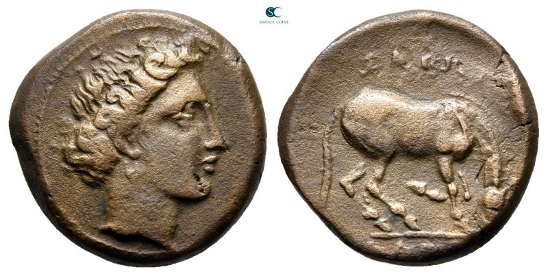 Thessaly. Larissa circa 380-337 BC. 
Bronze Æ

17 mm., 5,04 g.



very fi...