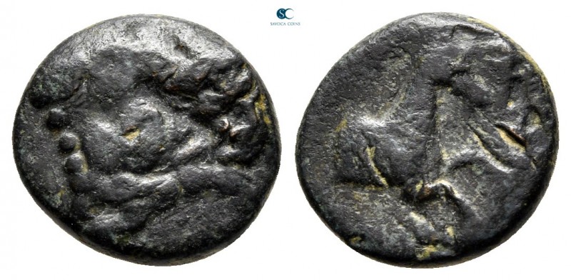 Thessaly. Pherae. ΤΕΙΣΙΦΟΝOΣ (Teisiphonos), tyrant 359-353 BC. 
Chalkous Æ

1...