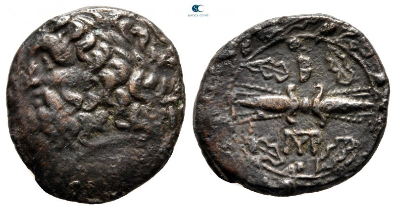 Kings of Epeiros. Ambrakia. Pyrrhos 297-272 BC. 
Bronze Æ

20 mm., 5,15 g.
...