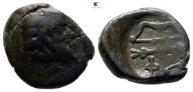 Cimmerian Bosporos. Pantikapaion 250-200 BC. Bronze Æ