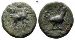 Troas. Dardanos circa 400-250 BC. Bronze Æ