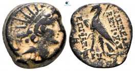 Seleukid Kingdom. Antioch on the Orontes. Antiochos VIII Epiphanes Grypos 121-97 BC. Bronze Æ