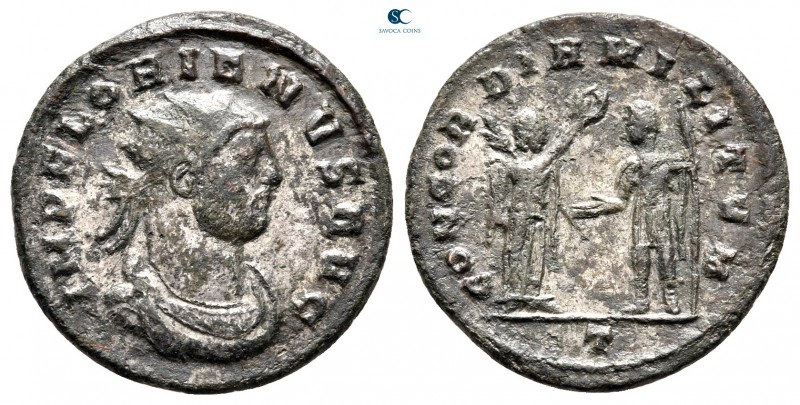 Florianus AD 276. Cyzicus
Antoninianus Æ silvered

21 mm., 3,36 g.



ver...