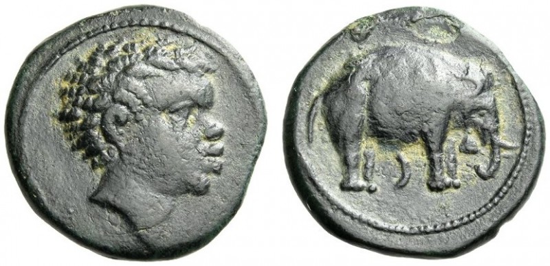 ETRURIA, Arretium. Circa 208-207 BC. AE (Bronze, 17mm, 4.29 g 6). Head of a youn...