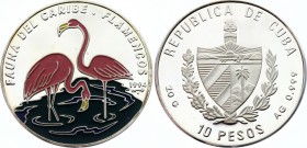 Cuba 10 Pesos 1994
KM# 442; Silver Proof; Caribbean Fauna Serie I – Flamingos