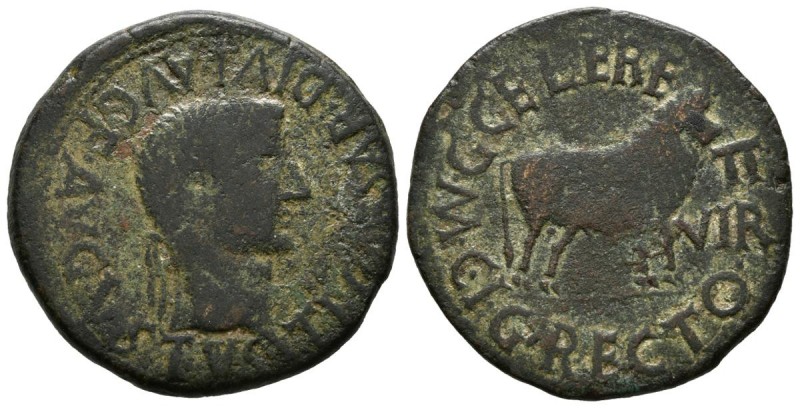 CALAGURRIS (Calahorra, La Rioja). As. (Ae. 10,56g/30mm). 14-36 a.C. (FAB-430). M...