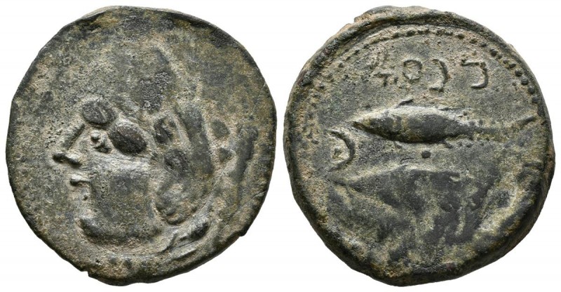 GADES (Cádiz). As. (Ae. 9,96g/26mm). 120-20 a.C. (FAB-1340). MBC-.