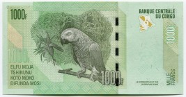 Congo Democratic Republic 1000 Francs 2013
P# 101b; UNC