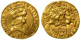 MILANO. Ludovico XII d'Orleans (1500-1512) - Doppio ducato. Busto a d. di Ludovico XII con berretto ornato da gigli; sul petto, giglio. R/ Sant’Ambrog...