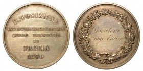 Esposizione industria ed agraria della provincia di Parma 1870. Medaglia in argento 1870. Scritto nel campo in sei righe. R/ Corona di alloro di incis...