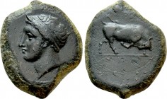 SICILY. Adranon. Ae (Circa 339-317 BC).