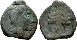 MAURETANIA. Tingi. Ae (2nd-1st century BC).