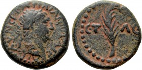 UNCERTAIN. Trajan (117-138). Ae.