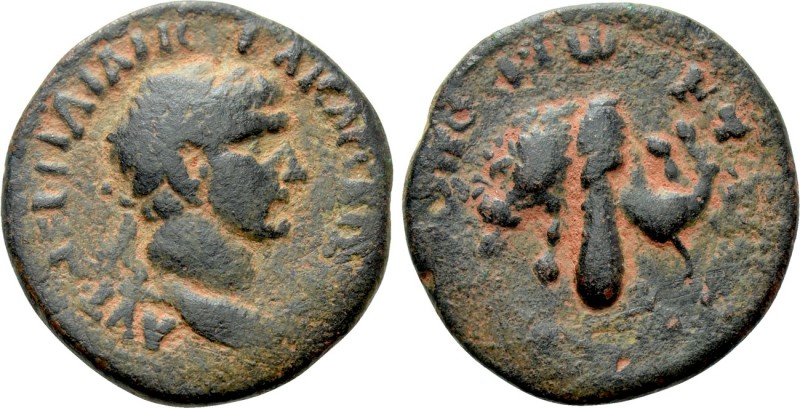 PONTOS. Sebastopolis. Trajan (98-117). Ae .

Obv: ΑΥΤ ΝΕΡ ΤΡΑΙΑΝΟϹ ΚΑΙϹΑΡ ϹΕ Γ...