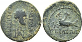 CARIA. Trapezopolis. Augustus (27 BC-14 AD). Ae. Andronikos Gorgippou, magistrate.