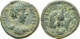 PISIDIA. Antioch. Lucius Verus (161-169). Ae.