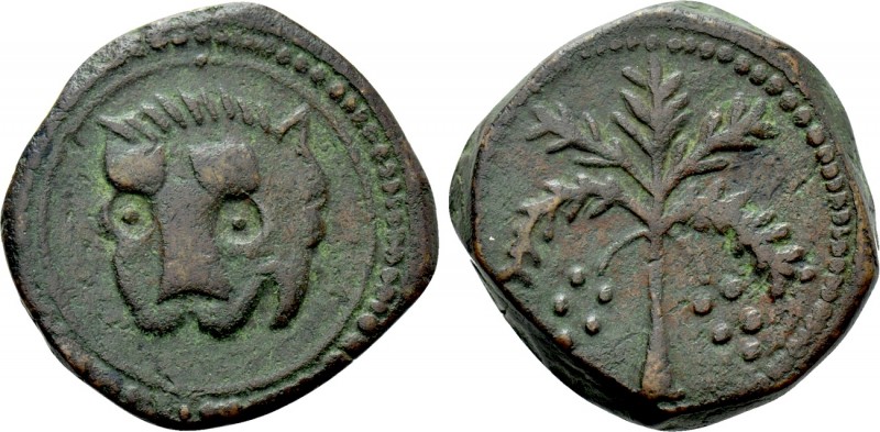 ITALY. Sicily. Guglielmo II (1166 - 1189). Ae Follaro. 

Obv: Head of lion fac...