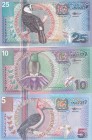 Suriname, 5-10-25 Gulden, 2000, UNC, p146; p147; p148, (Total 3 banknotes)
