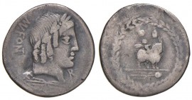 Fonteia - Mn. Fonteius C. f. - Denario (85 a.C) Testa di Apollo a d. - R/ Genio su capro a d. - B. 10; Cr. 353/1 AG (g 3,75)
MB/B