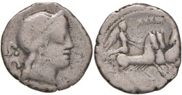 Naevia - C. Naevius Balbus - Denario (79 a.C.) Testa di Venere a d - R/ La Vittoria su triga a d. - B. 6; Cr. 382/1 AG (g 3,48)
B