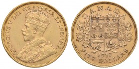 CANADA George V (1910-1936) 5 Dollars 1912 - KM 26 AU (g 8,34) Minimi colpetti al bordo
SPL