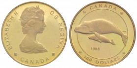 CANADA Elisabetta (1952-) 100 Dollars 1988 - KM 162 AU In slab PCGS PR69DCAM cod. 174703.69/11679949
FDC