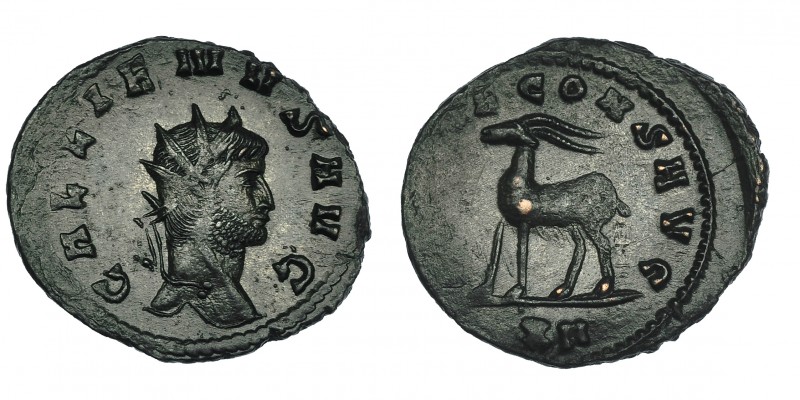 GALIENO. Antoniniano. Roma (267-268). R/ Cabra a izq.; (DIANAE) CONS AVG, exergo...