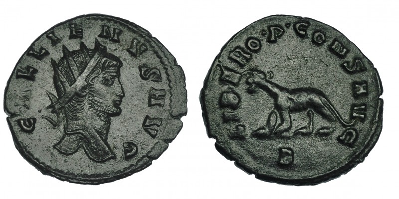 GALIENO. Antoniniano. Roma (267-268). R/ Pantera a izq.; LIBERO P CONS AVG, exer...