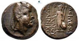 Kings of Commagene. Mithradates I Kallinikos 96-70 BC. Bronze Æ