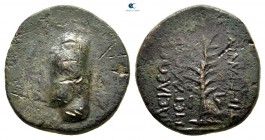 Kings of Armenia. Tigranocerta. Tigranes I 123-96 BC. Bronze Æ