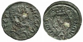 Pisidia, Termessus Major. Pseudo-autonomous issue, 3rd century AD. Æ (28mm, 9.92g, 7h). Laureate head r. R/ Amphora between two palm branches. SNG BnF...