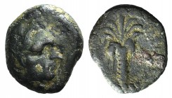 Seleukid Kings, Antiochos III (222-187 BC). Æ (13mm, 1.90g, 12h). Tyre, 198-187. Diademed head r. R/ Palm tree with dates. SC 1081; HGC 9, 563. Near V...