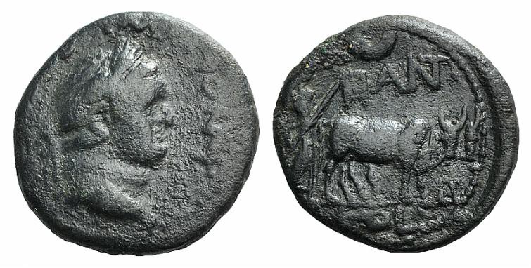 Titus (79-81). Pisidia, Antioch. Æ (21mm, 5.87g, 6h). Laureate head r. R/ Founde...