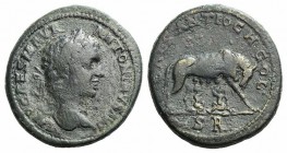 Caracalla (198-211). Pisidia, Antioch. Æ (34mm, 26.27g, 6h). Laureate head r. R/ She-wolf standing r., suckling the twins Romulus and Remus. SNG BnF 1...