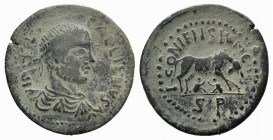 Gallienus (253-268). Lycaonia, Iconium. Æ (30mm, 12.32g, 12h). Diademed, draped and cuirassed bust r., seen from behind. R/ She-wolf standing r., suck...