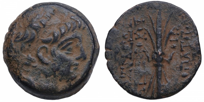 114-95 aC. Imperio Seleucida. Antioquía. Ae. SC 2364.1g; HGC 9, 1248. Ae. a/ Cab...
