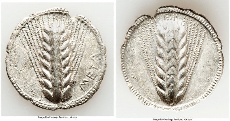 LUCANIA. Metapontum. Ca. 540-510 BC. AR stater (28mm, 7.20 gm, 12h). Choice VF, ...