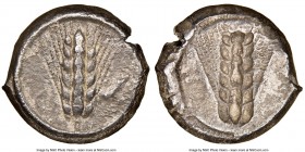 LUCANIA. Metapontum. Ca. 470-440 BC. AR stater (19mm, 7.44 gm, 12h). NGC Choice VF 5/5 - 3/5. META, barley ear with six grains; thick raised rim / Inc...