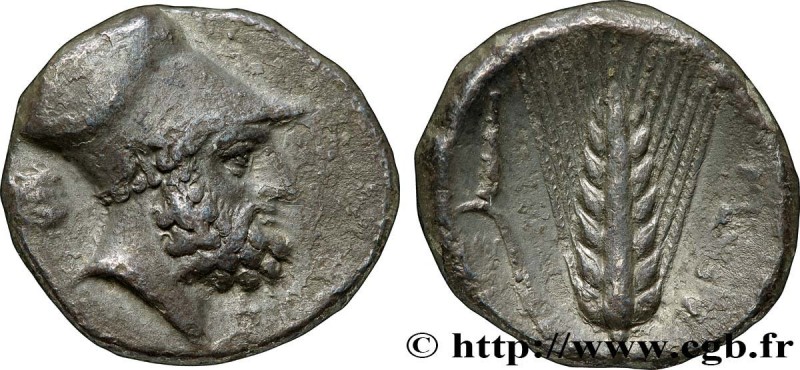 LUCANIA - METAPONTUM
Type : Nomos ou Didrachme 
Date : c. 330 AC. 
Mint name / T...