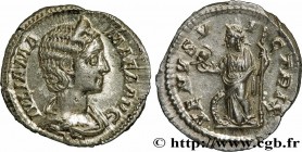 JULIA MAMAEA
Type : Denier 
Date : 231 
Mint name / Town : Rome 
Metal : silver 
Diameter : 19,5  mm
Orientation dies : 7  h.
Weight : 3,48  g.
Rarity...