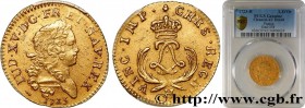 LOUIS XV THE BELOVED
Type : Louis mirliton, palmes longues 
Date : 1723 
Mint name / Town : La Rochelle 
Quantity minted : 18.000 
Metal : gold 
Mille...